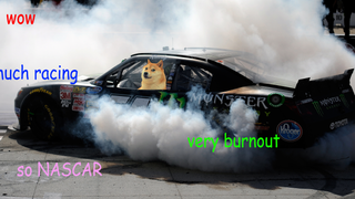 How Doge Could Come To NASCAR